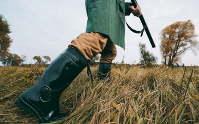 Nueva normativa armeros 2012 y 2018