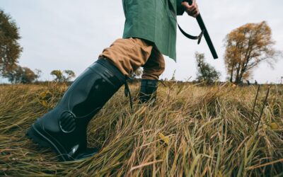 Armeros homologados baratos