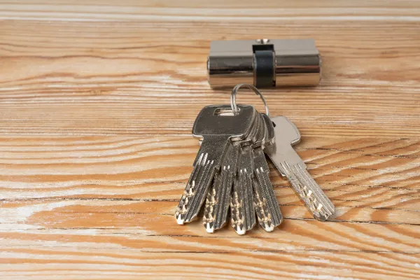 especialistas en cajas fuertes